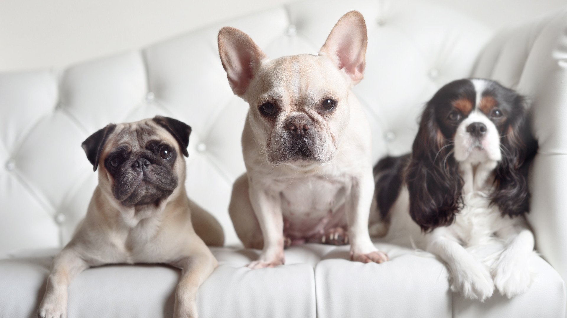 九游(jiuyou)官方网站-NBA与Meta联手开发球员元宇宙训练平台，gamefi 元宇宙