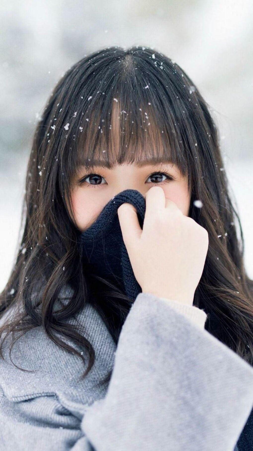 九游网页版入口-世界传统舞狮竞技，展现民族文化盛典