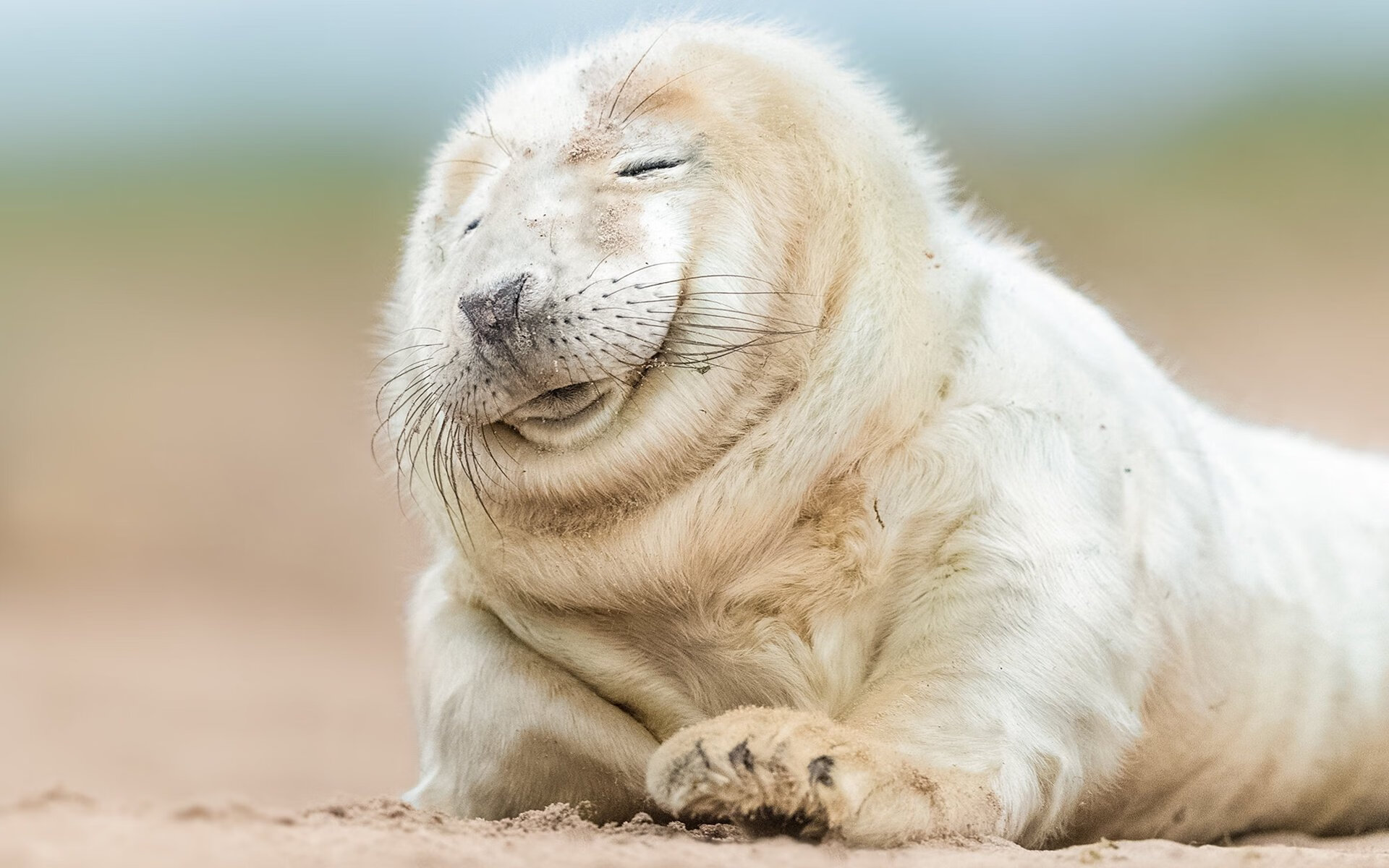 史上最快达到2万分的NBA球员,库里的神突破!,nba二万分球员排名