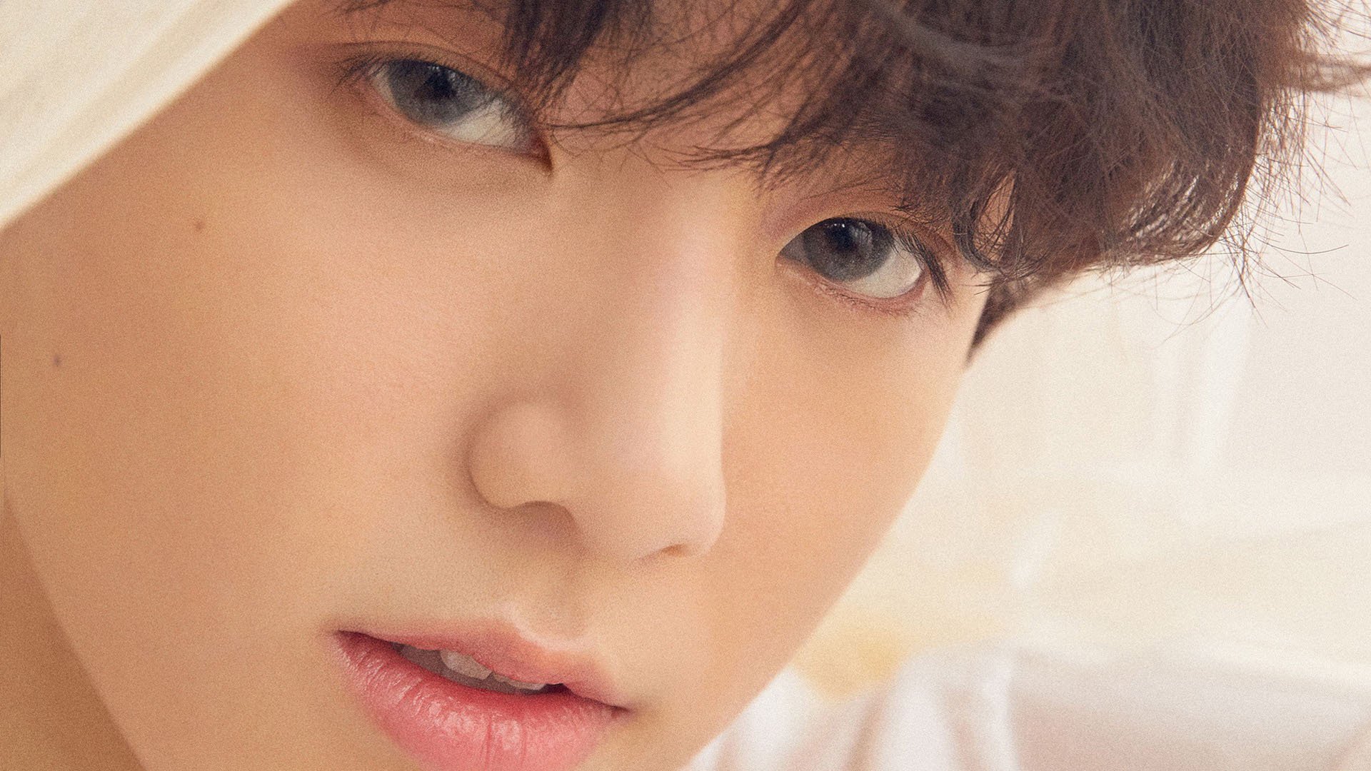 意大利马术协会建立马匹基因数据库,促进马匹选育与训练。,意大利马具