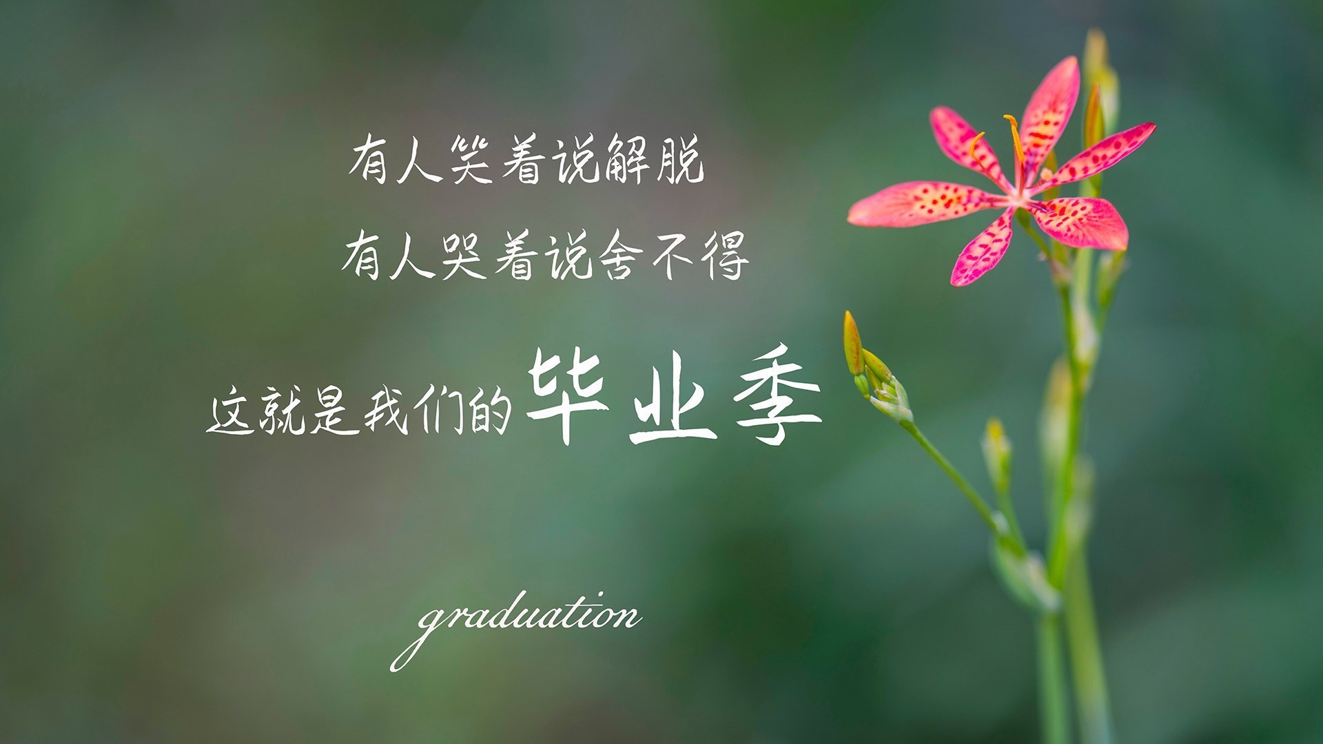 意大利马术协会建立马术运动伤害预防中心,保障运动员安全。,意大利马术俱乐部