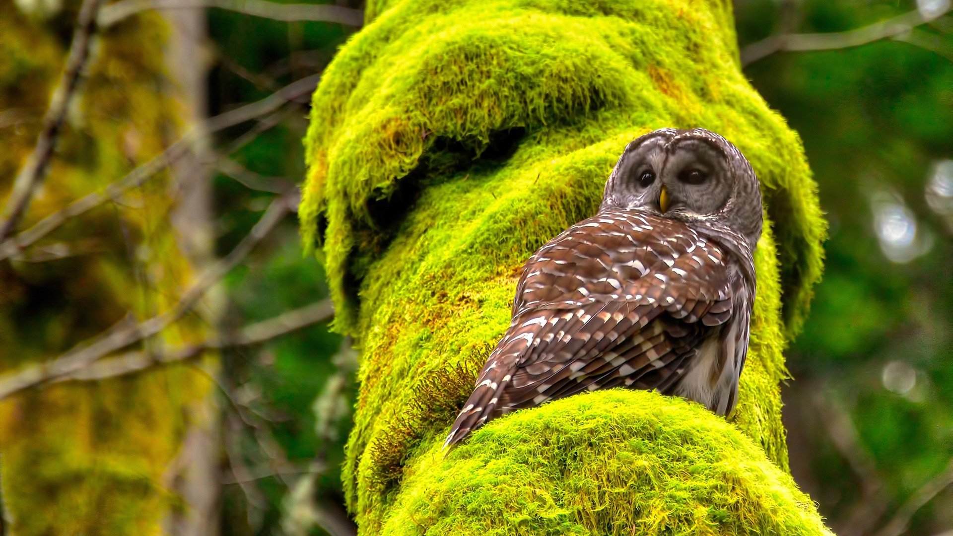 九游jiuyou-篮球青训项目推动青少年健康成长，篮球青训内容