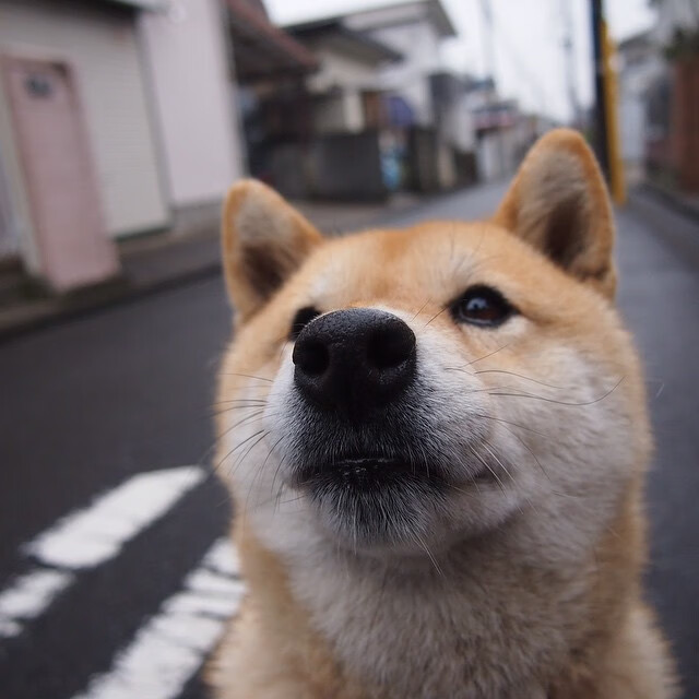 足球专业就业市场呈现复合型人才需求趋势,足球行业的就业前景如何