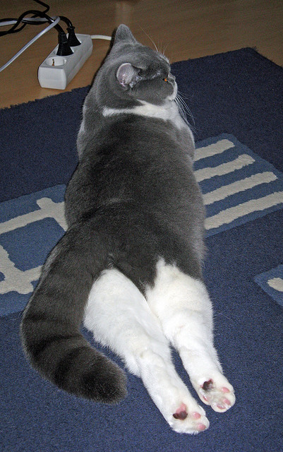 九游网-孙颖莎横扫对手夺冠在望，孙颖莎决赛对手