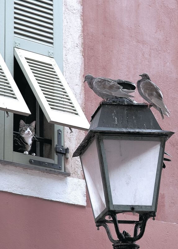 皇马青训持续发力,新星不断崭露头角